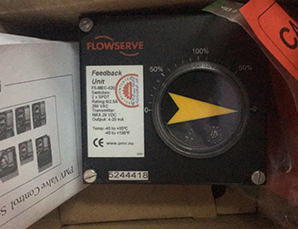 Flowserve